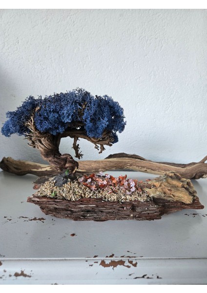 Bonsai Model Masaüstü Dekor – El Yapımı, Gerçek Ağaç Gövdesi, Mavi Şoklanmış Yosun Ağaç