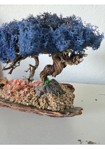 Bonsai Model Masaüstü Dekor – El Yapımı, Gerçek Ağaç Gövdesi, Mavi Şoklanmış Yosun Ağaç fiyatları