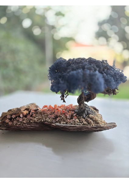 Bonsai Model Masaüstü Dekor – El Yapımı, Gerçek Ağaç Gövdesi, Mavi Şoklanmış Yosun Ağaç fırsatları