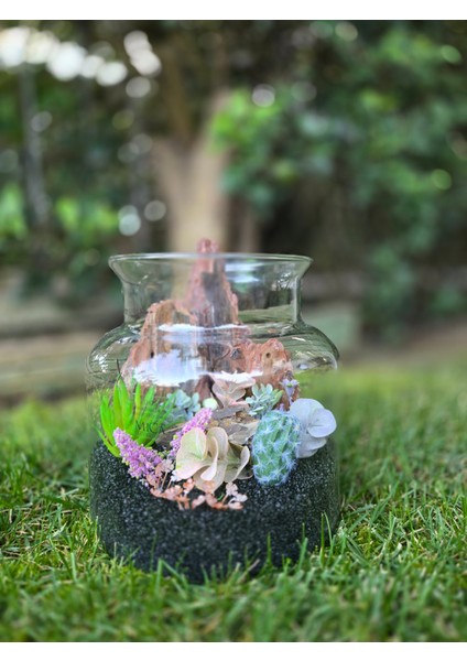 El Yapımı Cam Teraryum – Siyah Kumlu Ağaç Dokulu Kaktüs & Sukulent Masaüstü Dekor