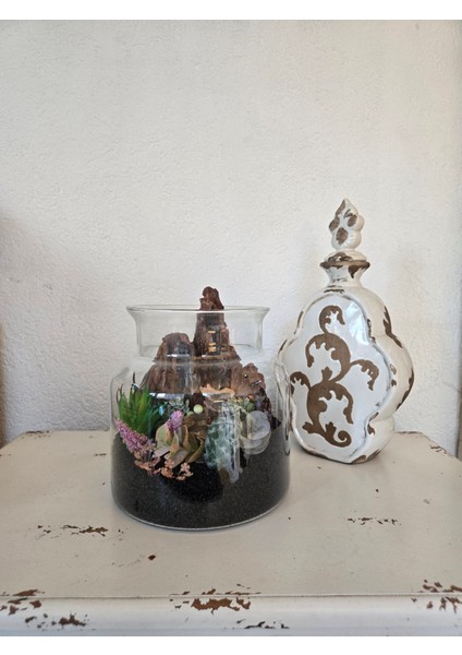 El Yapımı Cam Teraryum – Siyah Kumlu Ağaç Dokulu Kaktüs & Sukulent Masaüstü Dekor fiyatları