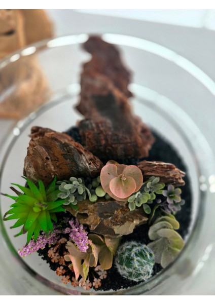 El Yapımı Cam Teraryum – Siyah Kumlu Ağaç Dokulu Kaktüs & Sukulent Masaüstü Dekor fırsatları