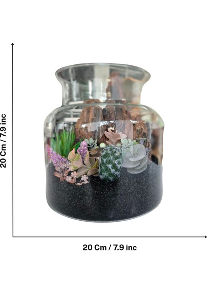 El Yapımı Cam Teraryum – Siyah Kumlu Ağaç Dokulu Kaktüs & Sukulent Masaüstü Dekor indirimleri