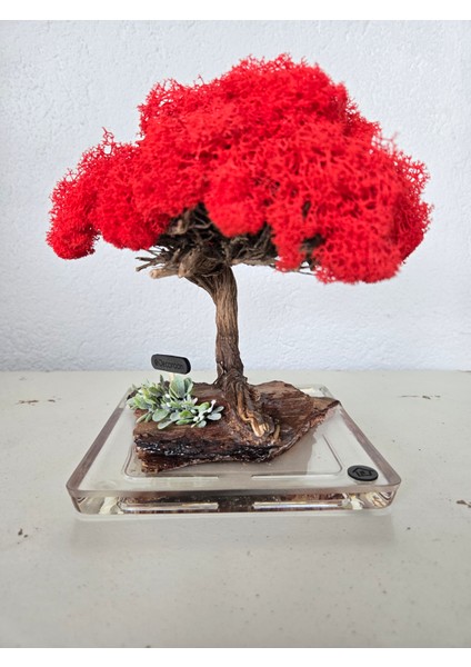 El Yapımı Kırmızı Bonsai Ağaç Dekoru – Doğal Dal Gövde & Akrilik Tabanlı Masaüstü Süs