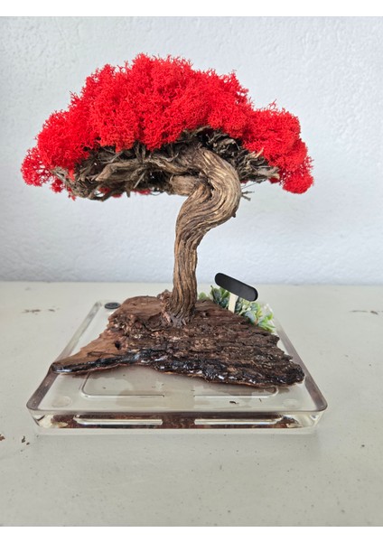 El Yapımı Kırmızı Bonsai Ağaç Dekoru – Doğal Dal Gövde & Akrilik Tabanlı Masaüstü Süs fiyatları