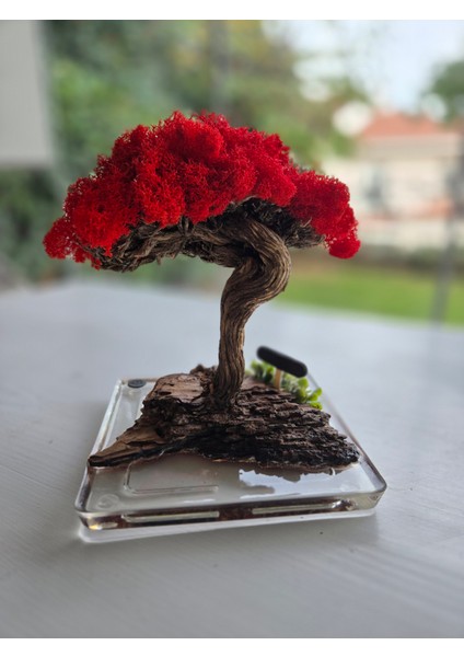 El Yapımı Kırmızı Bonsai Ağaç Dekoru – Doğal Dal Gövde & Akrilik Tabanlı Masaüstü Süs modelleri