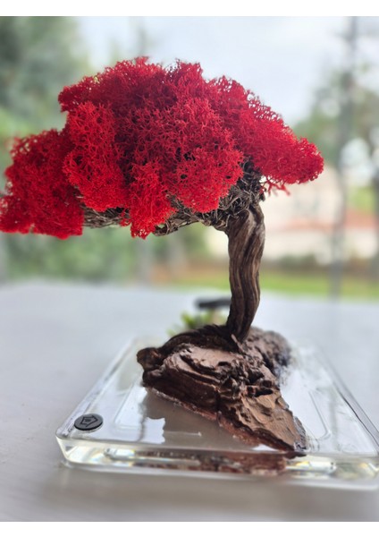 El Yapımı Kırmızı Bonsai Ağaç Dekoru – Doğal Dal Gövde & Akrilik Tabanlı Masaüstü Süs fırsatları