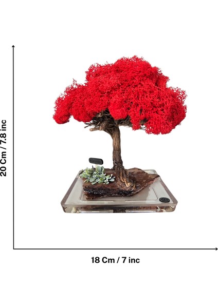 El Yapımı Kırmızı Bonsai Ağaç Dekoru – Doğal Dal Gövde & Akrilik Tabanlı Masaüstü Süs