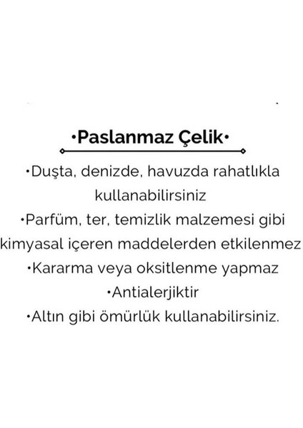Kadın Çelik Zirkon Taşlı Bombe Kalp Küpe Altın Gümüş Renk