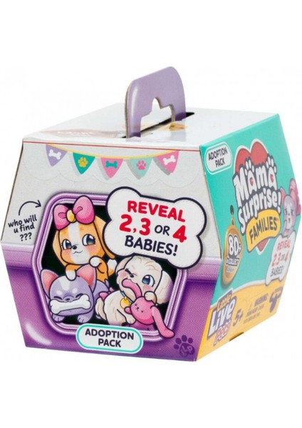 Msf Sürpriz Patiler 26658