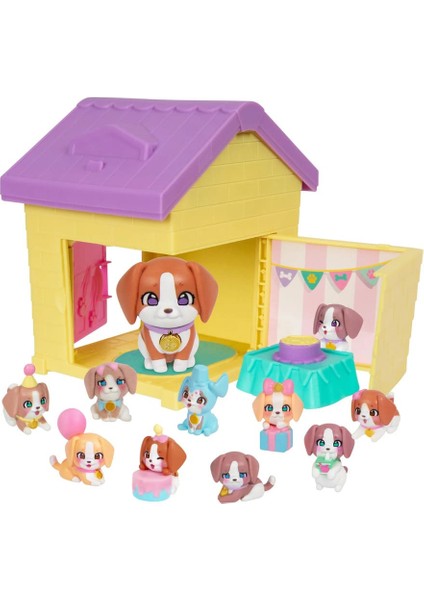 Msf Pati Ailesi LP306000 - Beagle