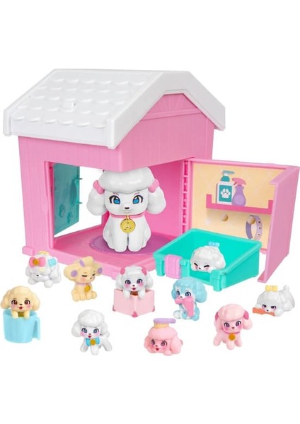 Msf Pati Ailesi LP306000 - Poodle