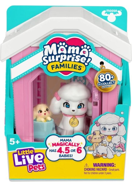 Msf Pati Ailesi LP306000 - Poodle modelleri