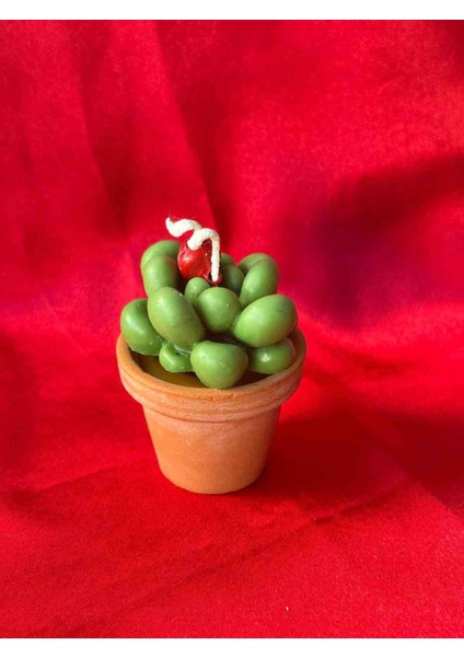 Mini Saksı Sukulent Dekoratif Mum – El Yapımı, Kokulu, Hediyelik Tasarım Mum