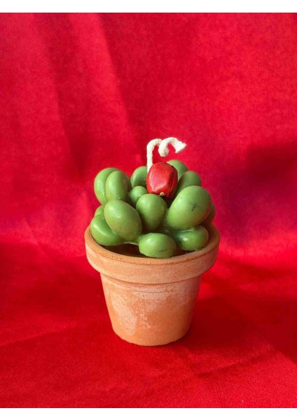 Mini Saksı Sukulent Dekoratif Mum – El Yapımı, Kokulu, Hediyelik Tasarım Mum fiyatları