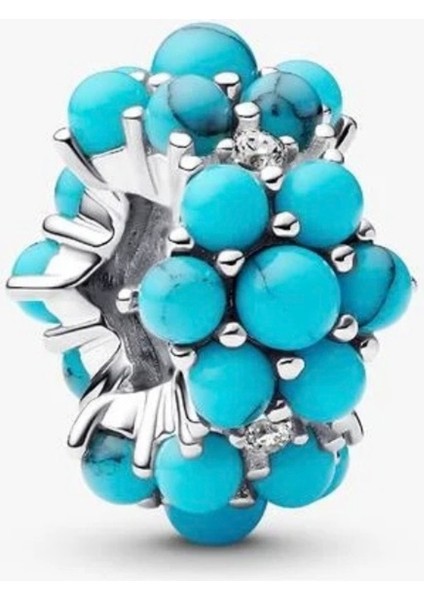 Gümüş Turkuaz Renkli Okyanus Charm fiyatları