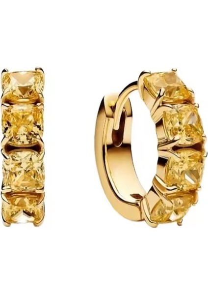 Gümüş Sarı Halka Küpeler