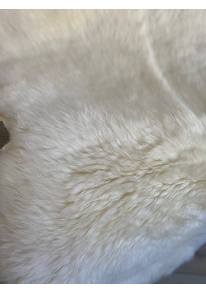 Hakiki 100% Koyun Derisi Post Halı 110X80 cm – Doğal Kürk – Yumuşak & Isı Yalıtımlı – Ev Dekorasyonu