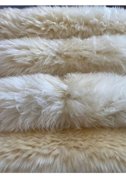 Medikal Hakiki 100% Koyun Derisi Post Halı 110X80 cm – Doğal Kürk – Yumuşak & Isı Yalıtımlı fırsatları