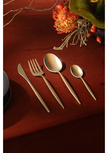 Çatal Bıçak Takımı HN521, Kadife Dokunuş & Paslanmaz Çelik modelleri