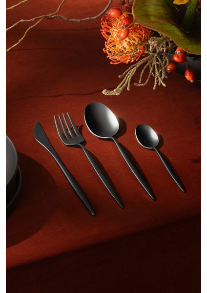 Çatal Bıçak Takımı HN521, Kadife Dokunuş & Paslanmaz Çelik modelleri