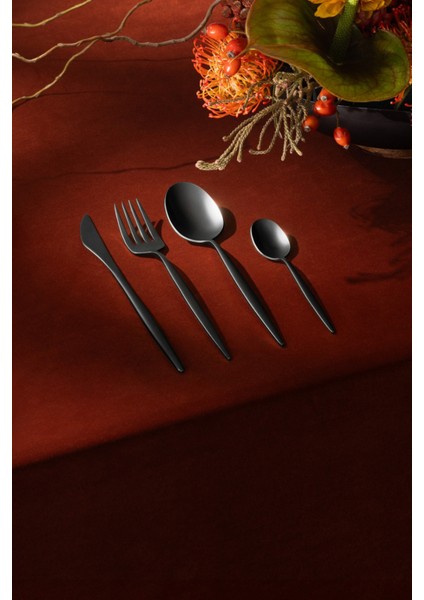 Çatal Bıçak Takımı HN521, Kadife Dokunuş & Paslanmaz Çelik indirimleri