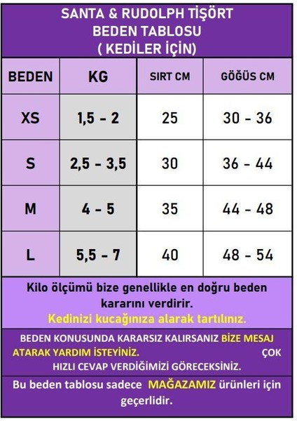 Santa And Friend Rudolph Kedi Tişörtü Yılbaşı Noel Christmas Kedi Elbisesi