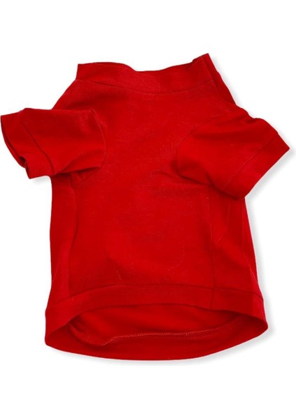 Santa And Friend Rudolph Kedi Tişörtü Yılbaşı Noel Christmas Kedi Elbisesi