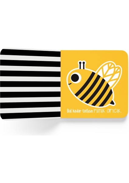 1 Yaş Süper Set (8 Kitap) fırsatları