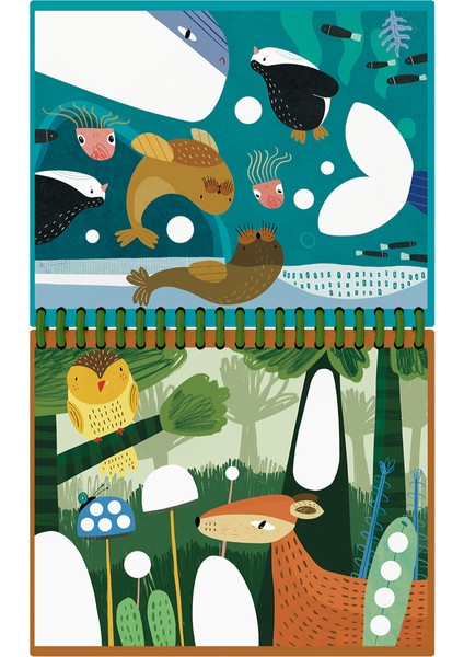 4 Yaş Süper Set (10 Kitap) modelleri