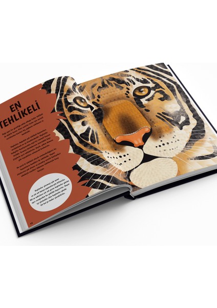 4 Yaş Süper Set (10 Kitap) fırsatları