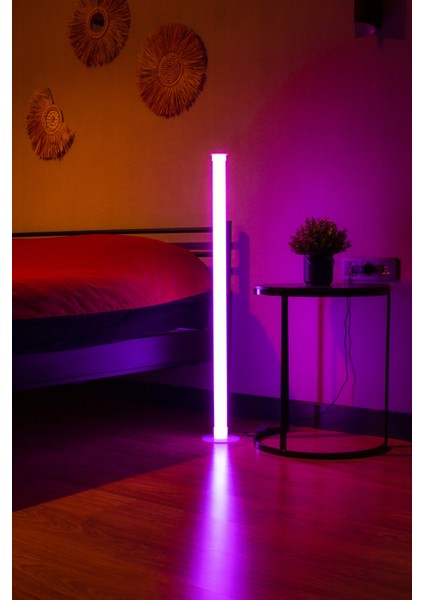 360 Derece Beyaz ve Renkli RGB Yerden Aydınlatma Lambader Uzaktan Kumandalı Renk Geçişli