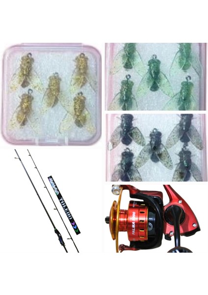 Toledo Olta Takımı