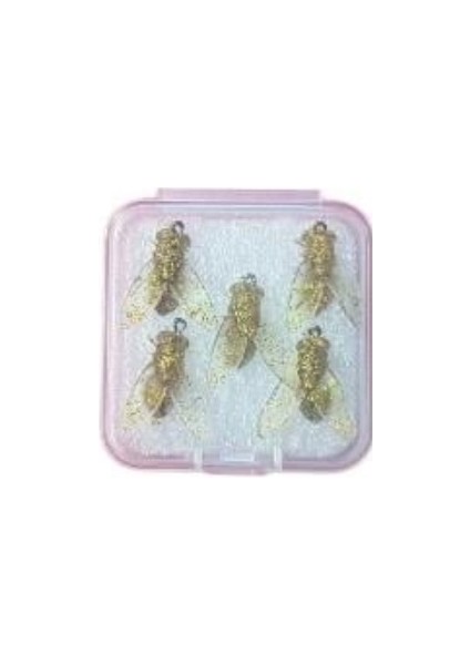 Toledo Olta Takımı indirimleri