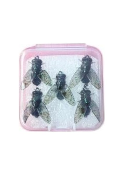 Toledo Olta Takımı