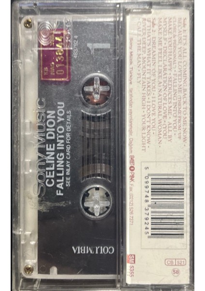 Kaset Celine Dion Falling Into You Kaset fiyatları