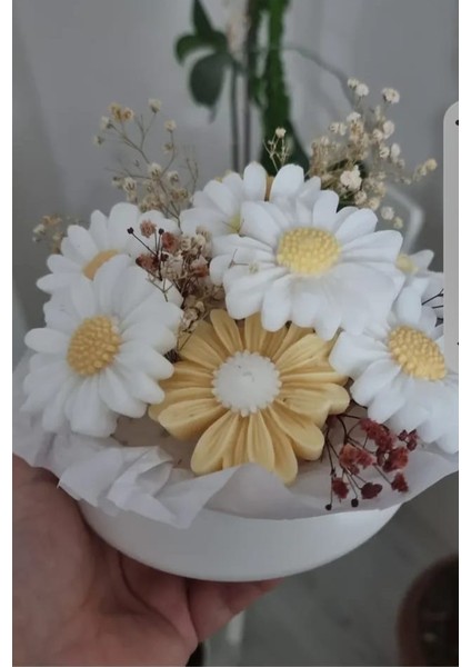 Taş Vazoda Papatya Mum Buketi
