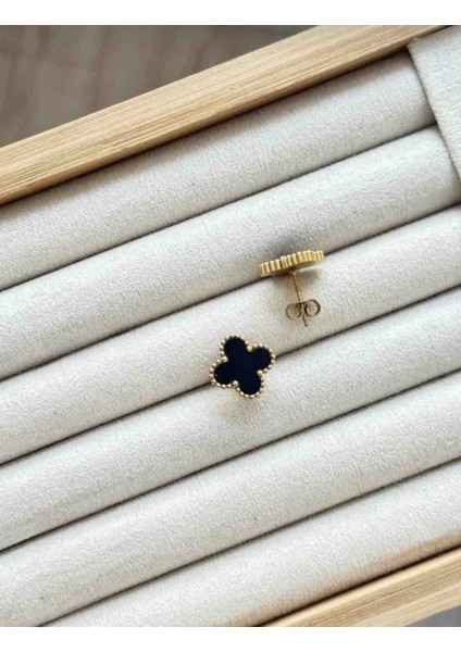 Gold Siyah Mini Yonca Çelik Küpe fiyatları