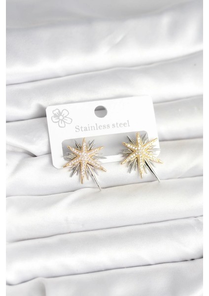 Bfs Pirinç Gümüş Renk Kutup Yıldızı Kadın Küpe