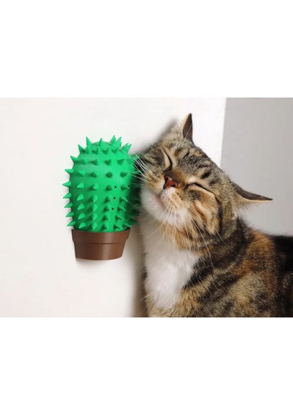 Kaktüs Kedi Kendini Kaşıma Oyuncağı | Kedi Tırmalama ve Kaşınma Aparatı