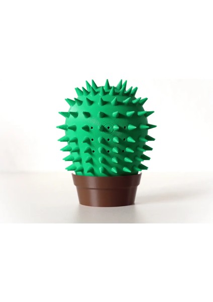 Kaktüs Kedi Kendini Kaşıma Oyuncağı | Kedi Tırmalama ve Kaşınma Aparatı modelleri