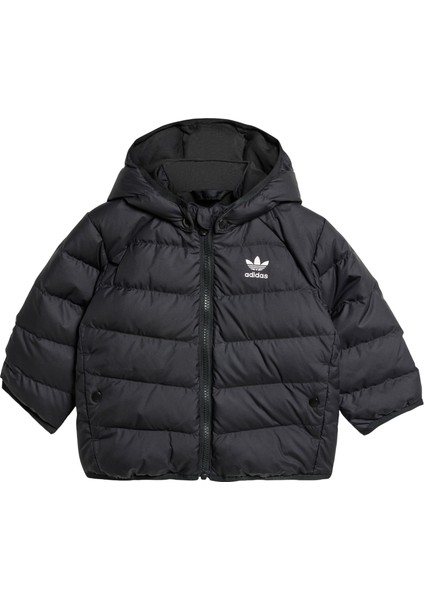 Originals IX7493 Adicolor Dolgulu Mont - Çocuk