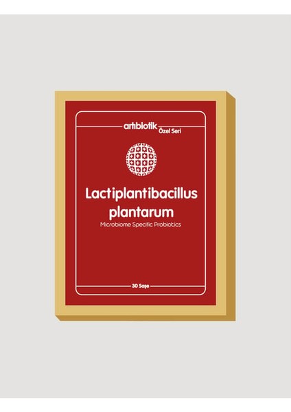 Lactiplantibacillus Plantarum Probiyotikli & Prebiyotikli Ferment Maya 30 Saşe