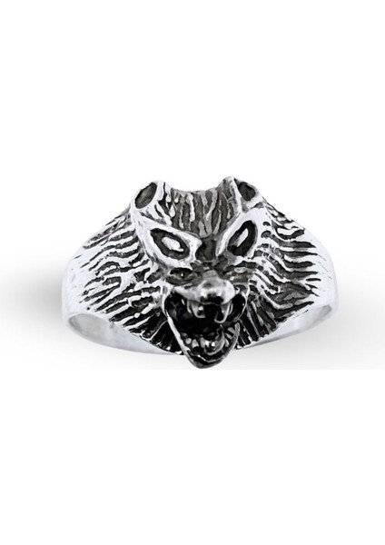 Kurt Başı Gümüş Erkek Yüzük fiyatları