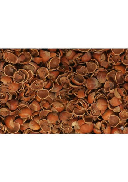 2.5 kg Fındık Kabuğu: Ekonomik Yakıt, Hızlı Tutuşturucu ve Mangal Közü %100 Doğal | [çok Amaçlı] modelleri