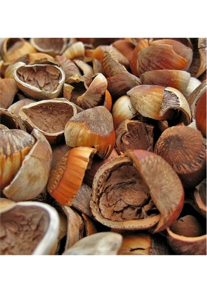 2.5 kg Fındık Kabuğu: Ekonomik Yakıt, Hızlı Tutuşturucu ve Mangal Közü %100 Doğal | [çok Amaçlı] fırsatları