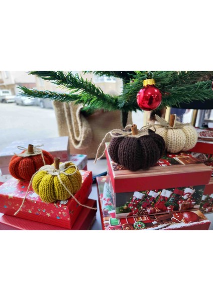 Örgü Kabak 4 Adet Özel Kutusunda