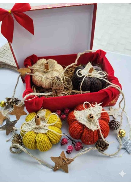 Örgü Kabak 4 Adet Özel Kutusunda modelleri