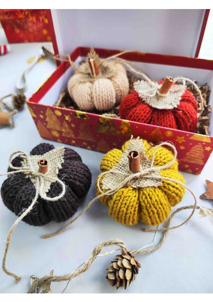 Örgü Kabak 4 Adet Özel Kutusunda fırsatları