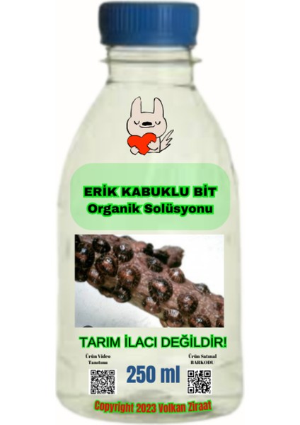 Meyve Ağaçlarında Görülen Kabuklu Bit Yok Eden Solüsyonu